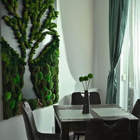Mirvana Apartments Metheor Executive Suite Timişoara Extérieur photo