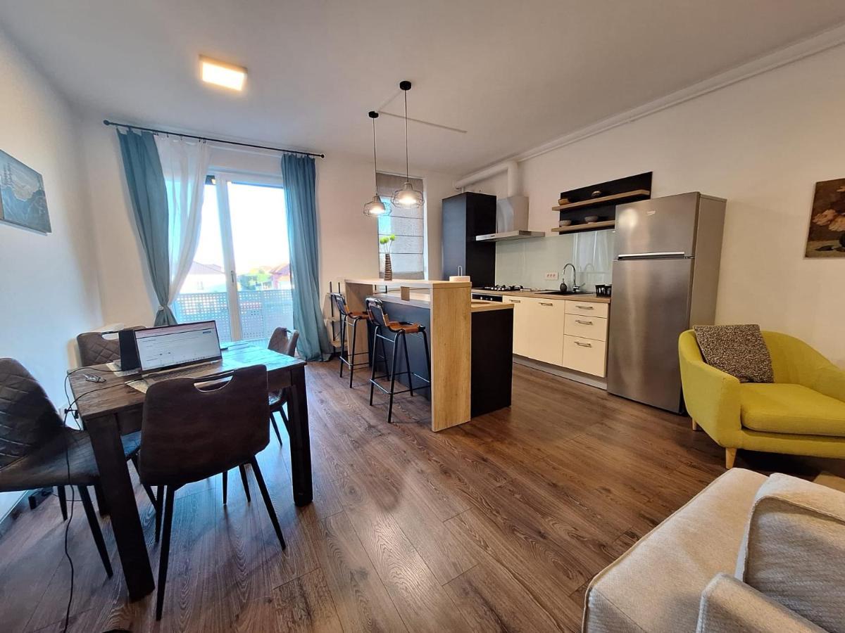 Mirvana Apartments Metheor Executive Suite Timişoara Extérieur photo