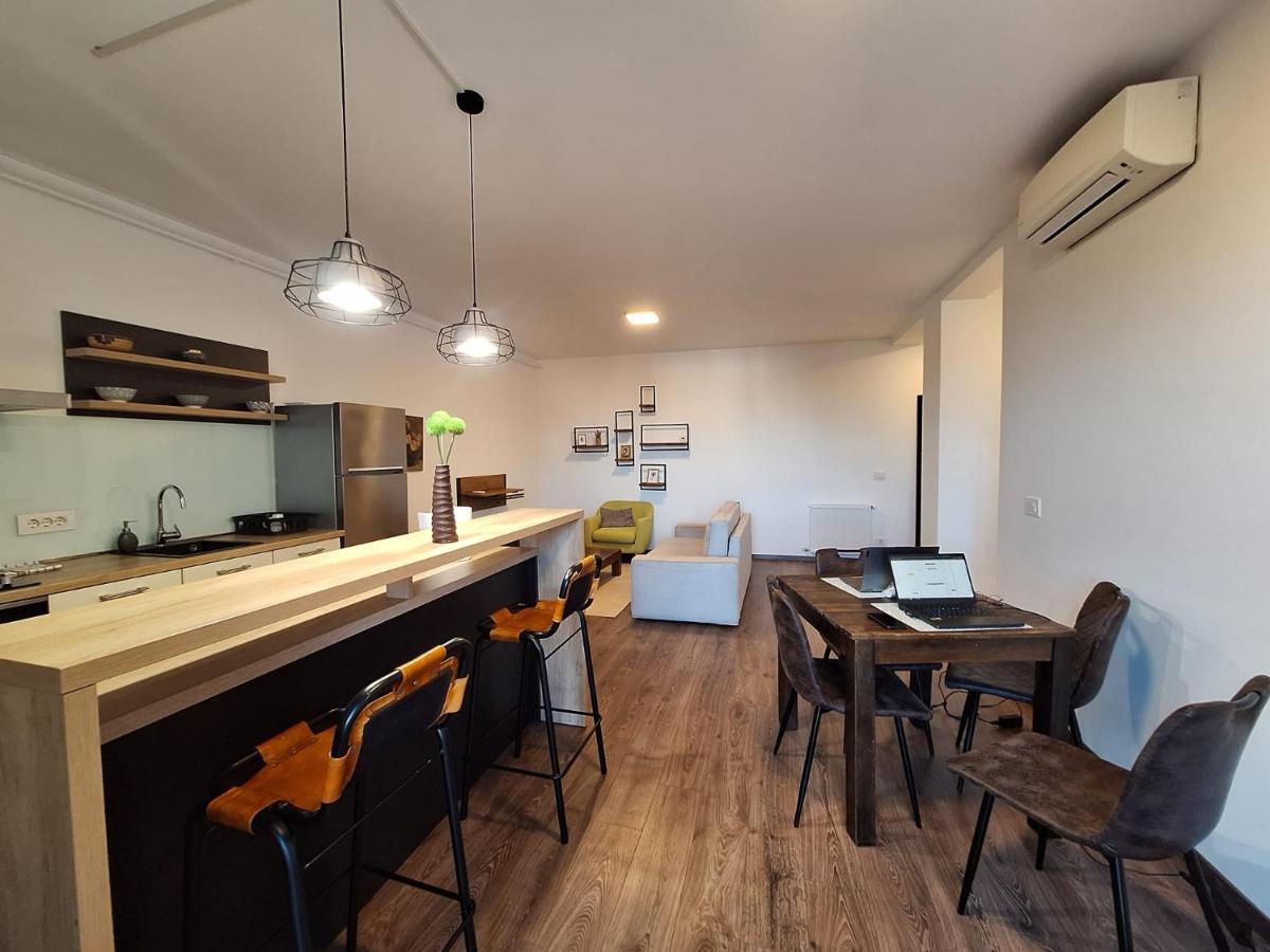 Mirvana Apartments Metheor Executive Suite Timişoara Extérieur photo