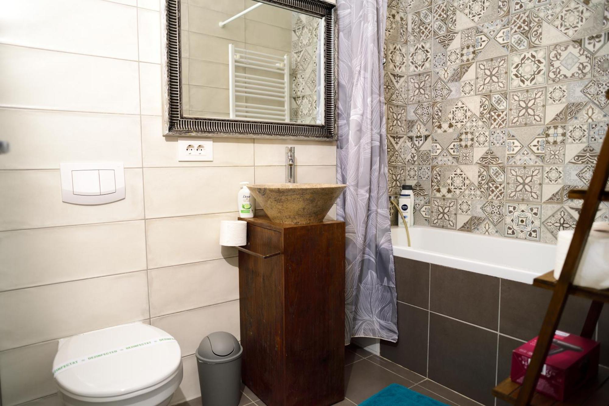 Mirvana Apartments Metheor Executive Suite Timişoara Extérieur photo