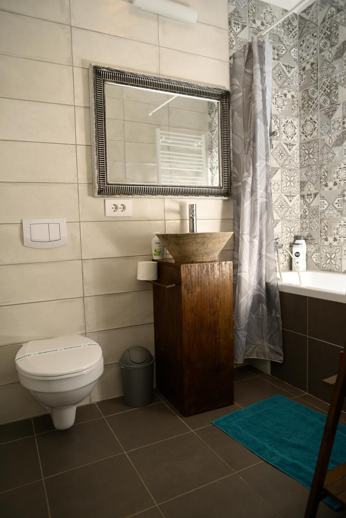 Mirvana Apartments Metheor Executive Suite Timişoara Extérieur photo